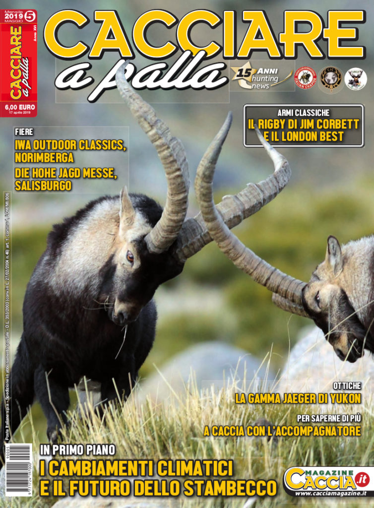 Cacciare A Palla Maggio In Edicola Dal Aprile Caccia Magazine