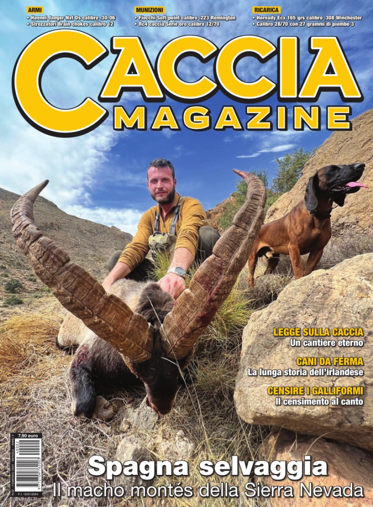 Caccia Magazine Febbraio In Edicola Caccia Magazine